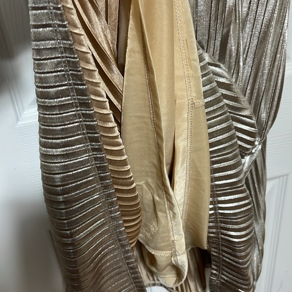 THML Shimmering Champagne/Gold Color Swing Dress - Picture 8 of 9